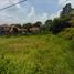  Land for sale in Ciampea, Bogor, Ciampea