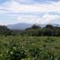  Land for sale in Huatusco, Veracruz, Huatusco