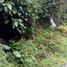  Land for sale in Huatusco, Veracruz, Huatusco