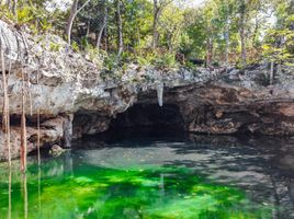  Terreno (Parcela) en alquiler en Cozumel, Quintana Roo, Cozumel, Quintana Roo
