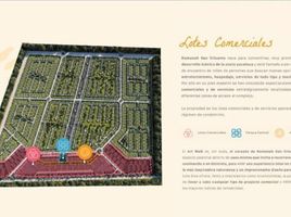  Grundstück zu verkaufen in Sinanche, Yucatan, Sinanche