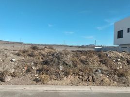  Grundstück zu verkaufen in Tijuana, Baja California, Tijuana
