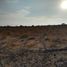  Land for sale in Abasolo, Guanajuato, Abasolo
