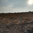  Land for sale in Abasolo, Guanajuato, Abasolo, Guanajuato, Mexico