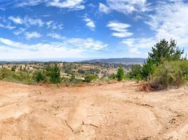  Land for sale in Chile, Paredones, Cardenal Caro, Libertador General Bernardo Ohiggins, Chile