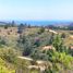  Land for sale in Chile, Paredones, Cardenal Caro, Libertador General Bernardo Ohiggins, Chile