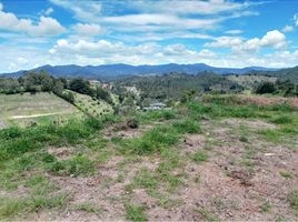  Land for sale in La Ceja, Antioquia, La Ceja