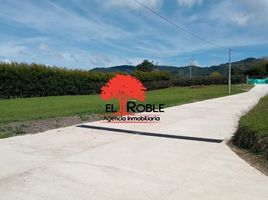  Land for sale in El Carmen De Viboral, Antioquia, El Carmen De Viboral