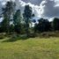 Terreno (Parcela) en venta en Chile, Temuco, Cautín, Araucanía, Chile