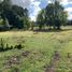  Terreno (Parcela) en venta en Chile, Temuco, Cautín, Araucanía, Chile