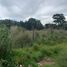  Land for sale in Ocoyoacac, Mexico, Ocoyoacac