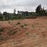  Terreno (Parcela) en venta en Chile, Viña del Mar, Valparaíso, Valparaíso, Chile