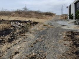  Terreno (Parcela) en venta en Santa Elena, Santa Elena, Santa Elena, Santa Elena