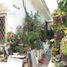 4 Bedroom House for sale in Guayaquil, Guayas, Guayaquil, Guayaquil