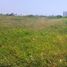  Land for rent in Alvarado, Veracruz, Alvarado