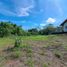  Land for sale in San Pablo Viejo, Chiriqui, San Pablo Viejo