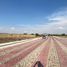  Terreno (Parcela) en venta en Corregidora, Querétaro, Corregidora