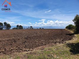  Land for sale in Imbabura, Urcuqui, San Miguel De Urcuqui, Imbabura