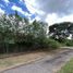 Land for rent in Merida, Yucatan, Merida