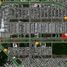  Land for rent in Merida, Yucatan, Merida, Yucatan