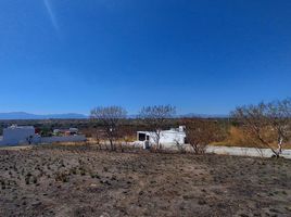  Land for sale in Miacatlan, Morelos, Miacatlan