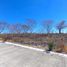  Land for sale in Miacatlan, Morelos, Miacatlan