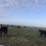  Land for sale in Islas Del Ibicuy, Entre Rios, Islas Del Ibicuy