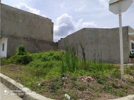  Land for sale in Monteria, Cordoba, Monteria