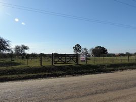  Land for sale in Colon, Entre Rios, Colon