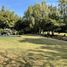 5 Habitación Casa en venta en Santiago, Colina, Chacabuco, Santiago