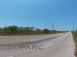  Terreno (Parcela) en venta en Carmen, Campeche, Carmen