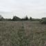  Land for sale in Chile, Santiago, Santiago, Santiago, Chile