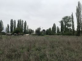  Land for sale in Chile, Santiago, Santiago, Santiago, Chile
