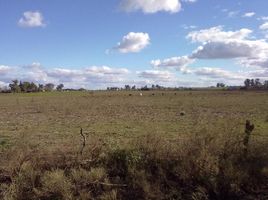  Grundstück zu verkaufen in Colon, Entre Rios, Colon