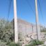  Land for rent in Torreon, Coahuila, Torreon