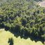  Terreno (Parcela) en venta en Chile, Chaiten, Palena, Los Lagos, Chile