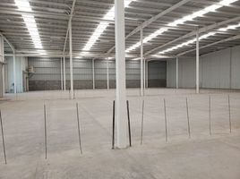 Estudio Casa en alquiler en El Marques, Querétaro, El Marques, Querétaro