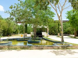  Grundstück zu verkaufen in Cancun, Quintana Roo, Cancun