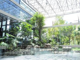 410 SqM Office for rent in Alvaro Obregon, Mexico City, Alvaro Obregon
