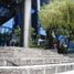 410 SqM Office for rent in Alvaro Obregon, Mexico City, Alvaro Obregon