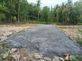  Tanah for sale in Bantul, Yogyakarta, Sedayu, Bantul