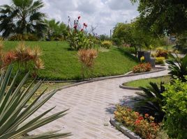  Terreno (Parcela) en venta en Montecristi, Manabi, Montecristi, Montecristi