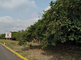  Terreno (Parcela) en venta en Medellin, Veracruz, Medellin