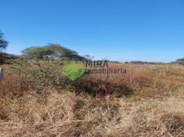  Grundstück zu verkaufen in Cuitzeo, Michoacan, Cuitzeo