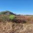  Land for sale in Cuitzeo, Michoacan, Cuitzeo