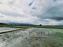  Land for sale in Magsaysay, Davao del Sur, Magsaysay