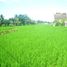  Land for sale in Ubud, Gianyar, Ubud