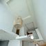 3 Habitación Casa en venta en Temixco, Morelos, Temixco