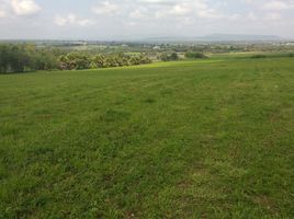  Land for sale in Dolores Hidalgo, Guanajuato, Dolores Hidalgo