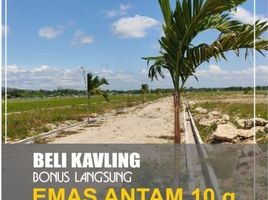  Land for sale in Sukoharjo, Jawa Tengah, Nguter, Sukoharjo